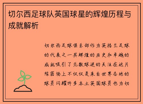 切尔西足球队英国球星的辉煌历程与成就解析
